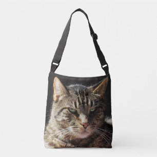 Bolso Cruzado Gato de Tabby malhumorado