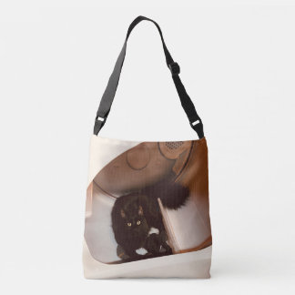 Bolso Cruzado Gato en un secador