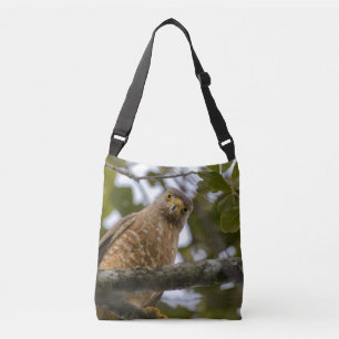 Bolso Cruzado Gavilán Caminero Posado en el Bosque Beliceño