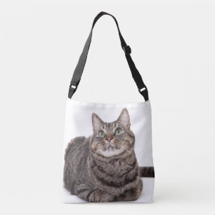 Bolso Cruzado Gray Tabby Cat