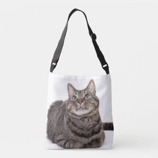 Bolso Cruzado Gray Tabby Cat