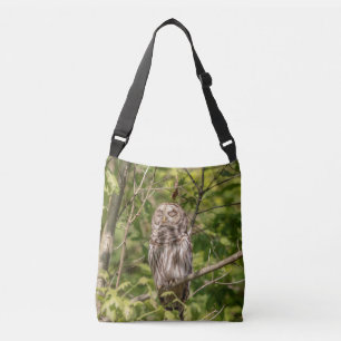 Bolso Cruzado Lechuza Sleepy Barred