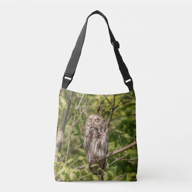Bolso Cruzado Lechuza Sleepy Barred (Anverso)
