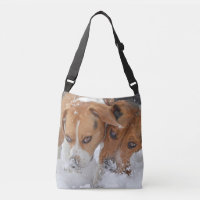 Nevado sospecha beagles