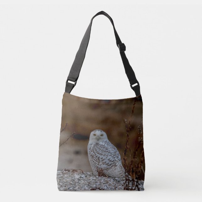 Bolso Cruzado Nieve sobre una roca (Anverso)