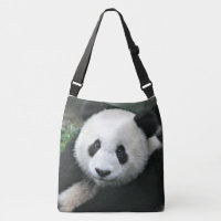 Panda Gigante en Tranquilo Prado Verde