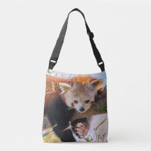 Panda rojiza perezosa