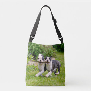 Bolso Cruzado Perritos divertidos de Boston Terrier jugando -