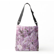 Primavera de flores de cerezo