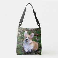 Salto de Perro Corgi Cute