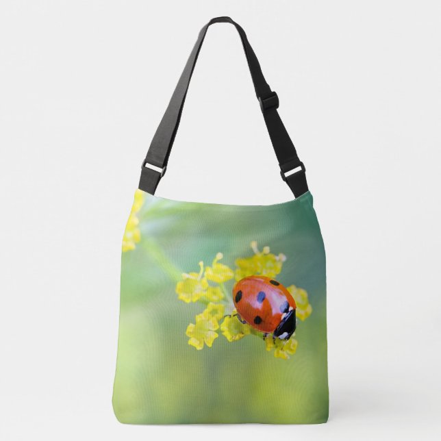 Bolso Cruzado señora de arriba (Anverso)