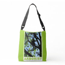 Silhouette de Tree Climber