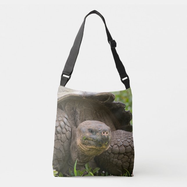 Bolso Cruzado Tortuga gigante (Anverso)