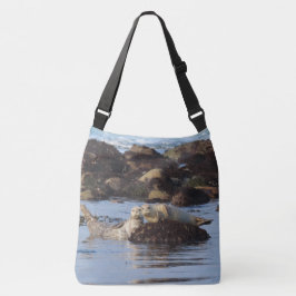 Bolso Cruzado Un par de focas de puerto lindas posando