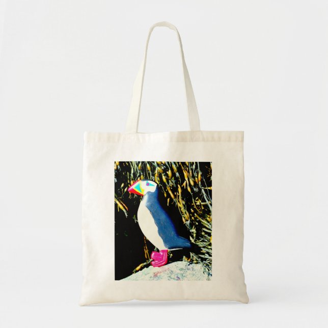 bolso de cacheo (Frente)