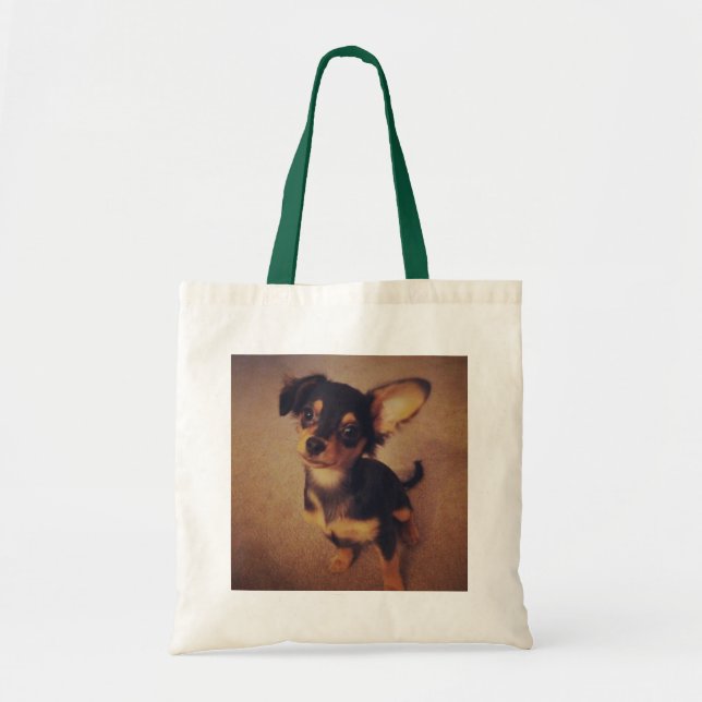 Bolso de la chihuahua (Frente)