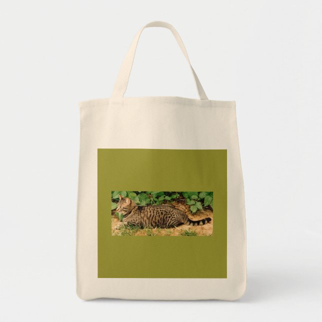Bolso de la lona del gato de Tabby (Frente)