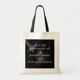 bolso de la luna de la "subida y de la caída"