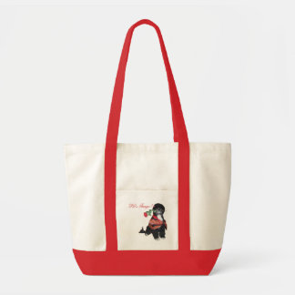 Bolso de Portie del tango