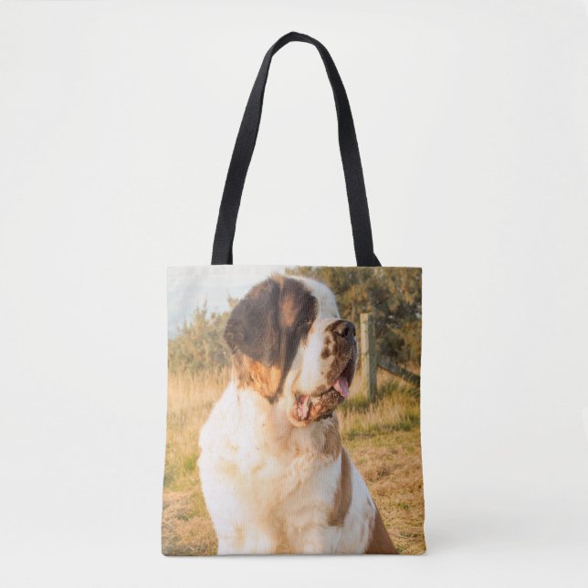 Bolso de St Bernard (Anverso)