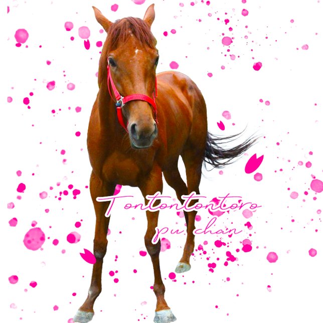 BOLSO DE TELA ケイメイ牧場　トントントントロちゃん　立ち姿＆総柄 (Subido por el creador)