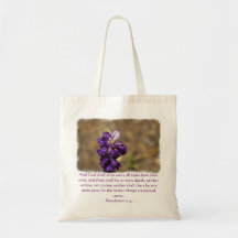 21:4 de la revelación