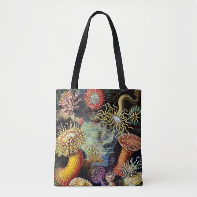 Bolso De Tela Actiniae de Ernst Haecke Tote Bag (Anverso)