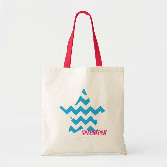Bolso De Tela Aguamarina 2 del zigzag (Frente)