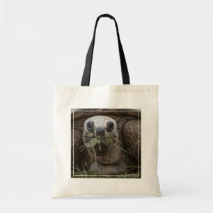 Bolso De Tela Aldabra Tortoise Grazing