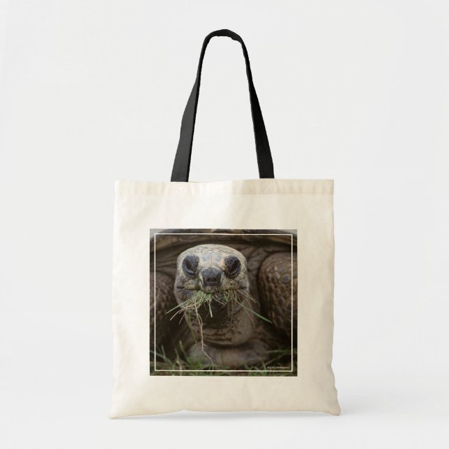 Bolso De Tela Aldabra Tortoise Grazing (Frente)