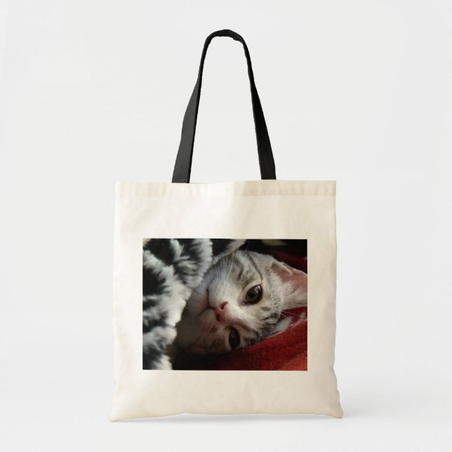 Bolso De Tela Alfie (Frente)