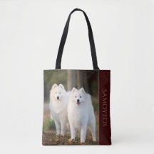 Amantes del samoyedo