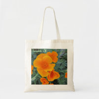 Amapola de Sacramento California