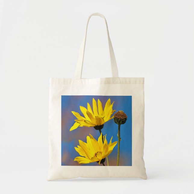 Bolso De Tela Amarillo sobre azul (Frente)