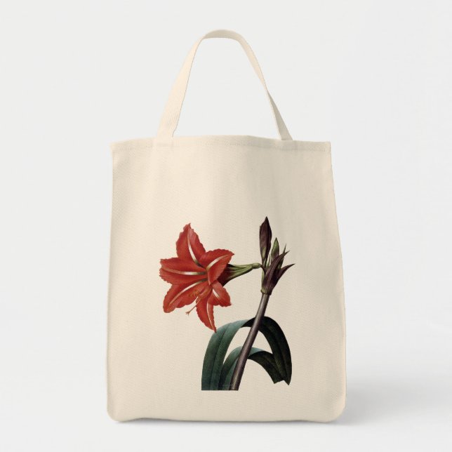 Bolso De Tela Amaryllis rayado (Frente)