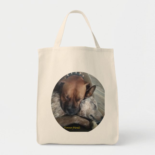 Bolso De Tela Amigos para siempre (Frente)