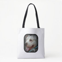 Amor del pitbull