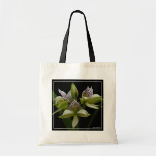 Bolso De Tela Anacheilium Chacoense