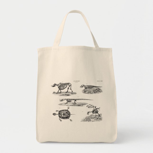 Bolso De Tela Anatomía antigua de los esqueletos animales de los (Frente)