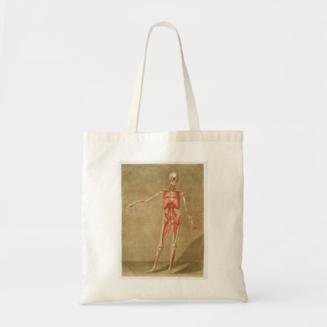 BOLSO DE TELA ANATOMY SKELETON BONES SKELETON MUSCLE HUMAN ANATO (Frente)