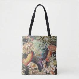 Bolso De Tela Anémonas de mar, Actiniae Seeanemonen Ernst Haecke