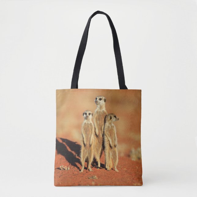 Bolso De Tela Animales de bebé más afectados | 3 Meerkats (Anverso)