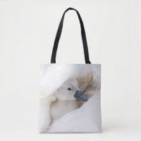 Animales de bebé más afectados | Baby Mute Swan