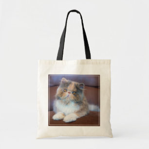 Bolso De Tela Animales de bebé más afectados   Calico Persian Ki
