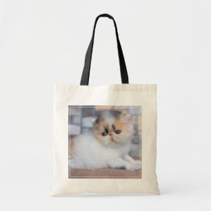 Bolso De Tela Animales de bebé más afectados Calico Persian Ki