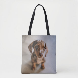 Bolso De Tela Animales de bebé más afectados   Dachshund Puppy