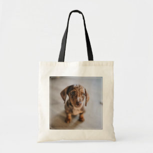 Bolso De Tela Animales de bebé más afectados   Dachshund Puppy