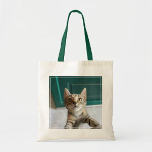 Bolso De Tela Animales de bebé más afectados Gatita Cuta Tabby