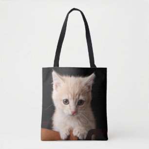 Bolso De Tela Animales de bebé más afectados   Ginger Kitten