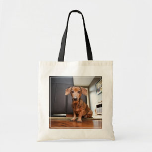 Bolso De Tela Animales de bebé más afectados Mini Dachshund Pu